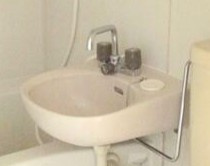 サングリーン徳丸の洗面所