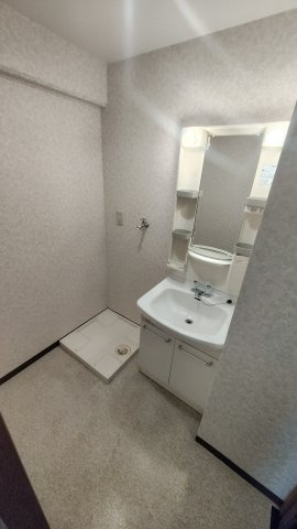 スカイコーポ鴨居の洗面所