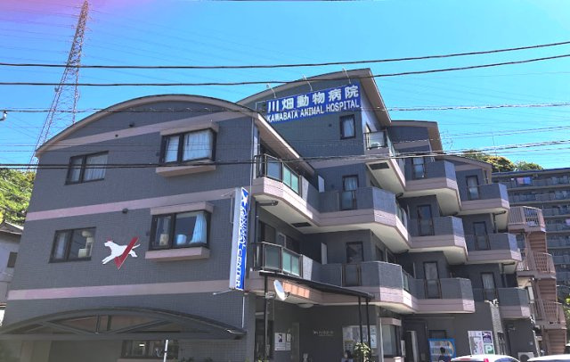 リージェントコーポ