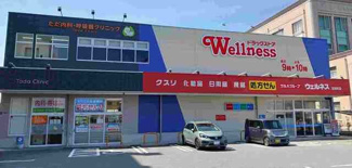 【周辺】 | シャンテ　カノンＢ | ウェルネス 北田町店まで220m