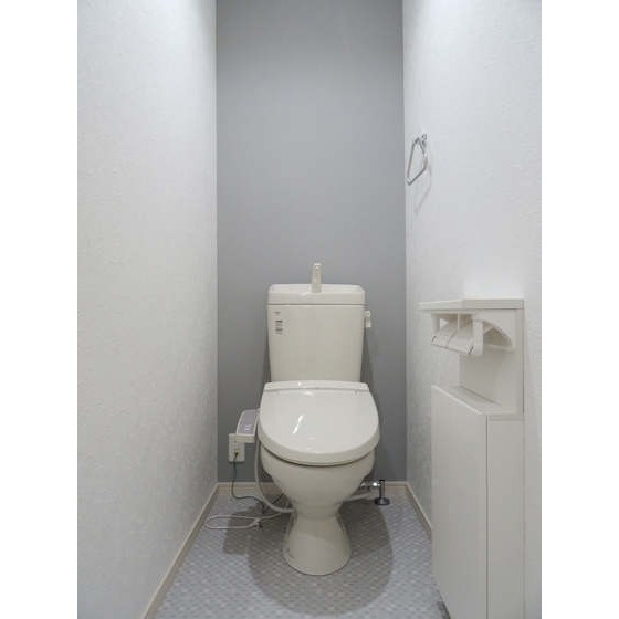 熊本市中央区京町２丁目の賃貸マンションのトイレ