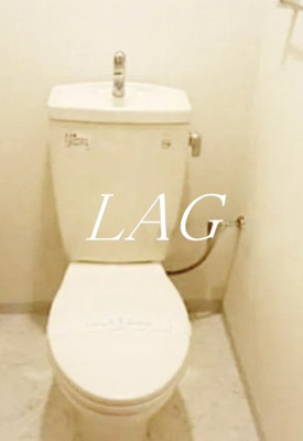 【トイレ】 | レヴィーナ東京八重洲通り | トイレです。