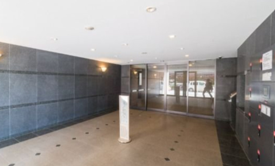 練馬区豊玉上２丁目の賃貸マンションのエントランス