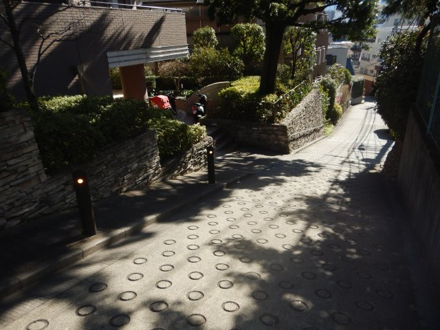 レクセルヒルズ中落合見晴坂のその他|前面道路