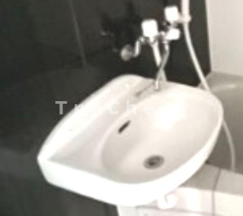 ユーフォリア富士見台の洗面所