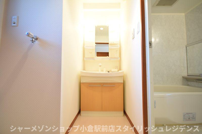 ニューガイア上石田の洗面所