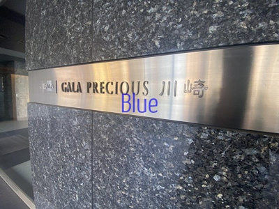 【その他】 | ガーラ・プレシャス川崎