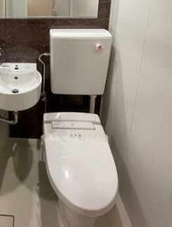 ライオンズマンション市谷薬王寺のトイレ