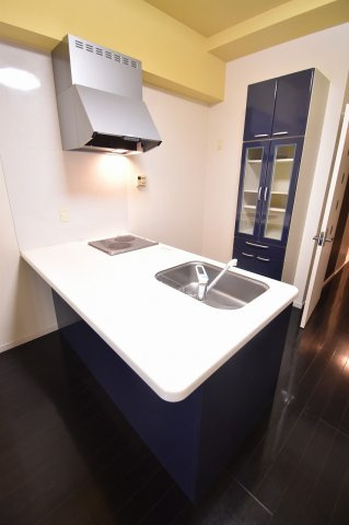 大阪市中央区南船場２丁目の賃貸マンションのキッチン