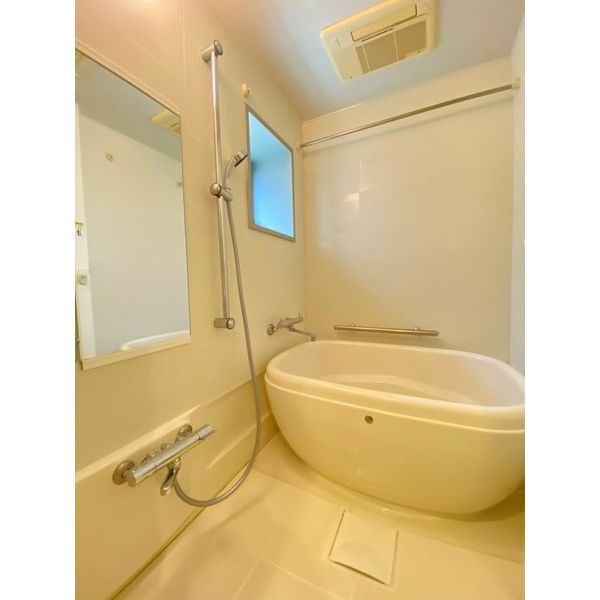 大阪市中央区南船場２丁目の賃貸マンションの浴室