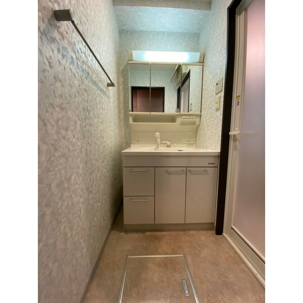 大阪市中央区南船場２丁目の賃貸マンションの洗面所