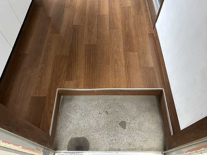 ヴィライズミのその他