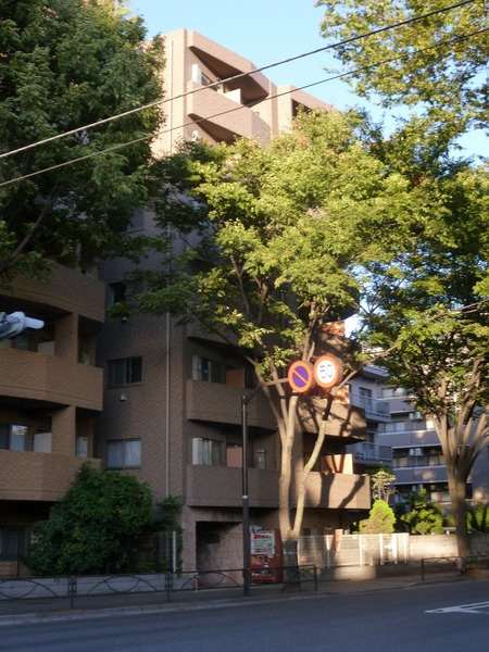 プレールアパートメント芦花公園の外観|きれいな外観です