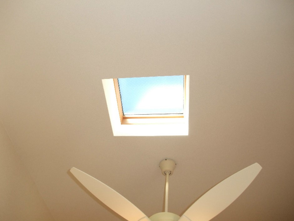 エレガント・ヴァラュアブルの展望