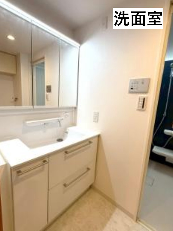 いずみ中央ガーデンハウス【仲介手数料無料】ペット可♪の独立洗面台