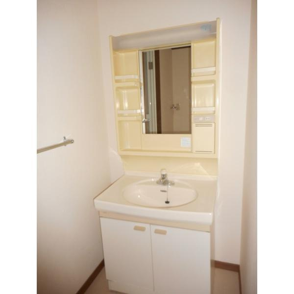 メゾンエヌケイ101の洗面所