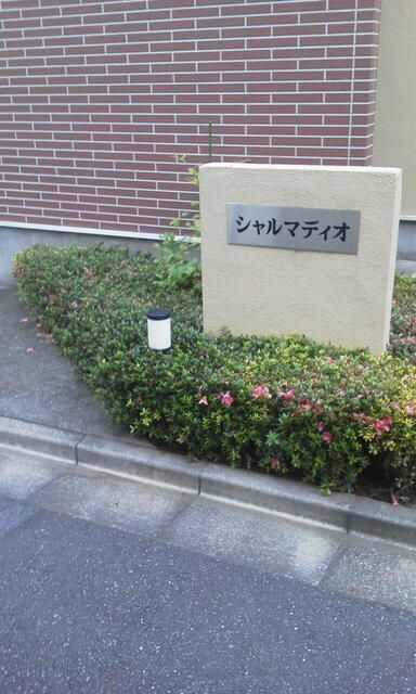 シャルマディオのその他共用部分