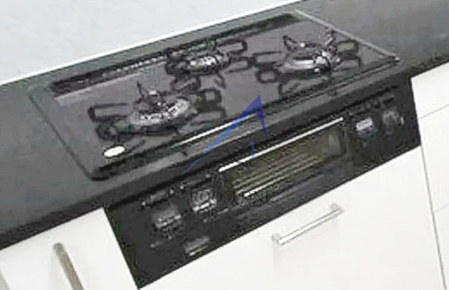 エルエーロゴス両国のその他