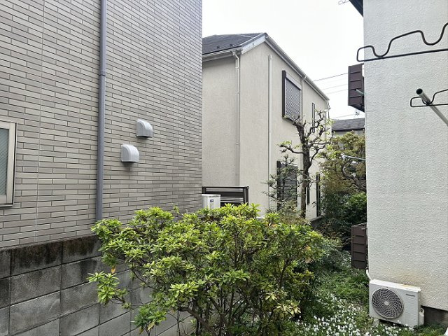 ヴィライズミのその他