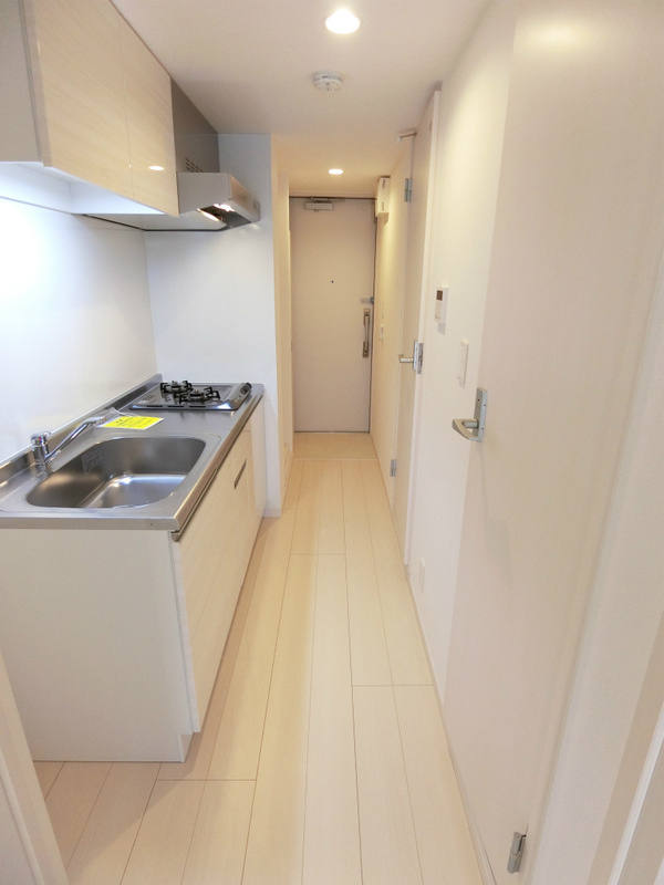 リブリ・ラシーナⅢの玄関