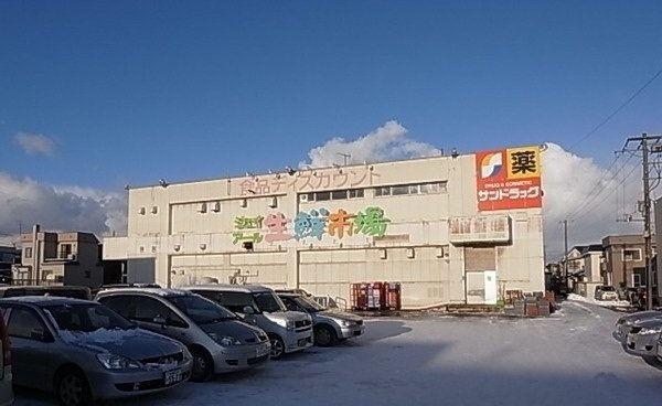 サンリット・エルムの周辺|ジェイアール生鮮市場新琴似店まで1100m