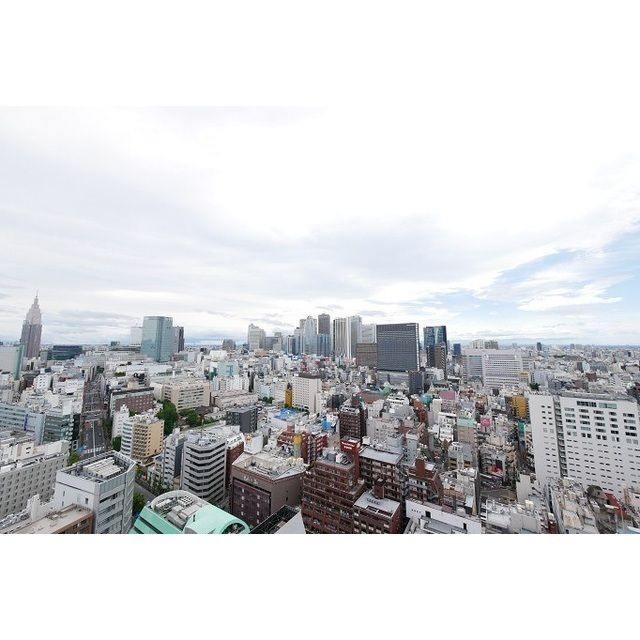 コンフォリア新宿イーストサイドタワーの展望