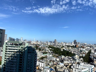 【展望】 | クロスエアタワー | 右側、東京タワー
