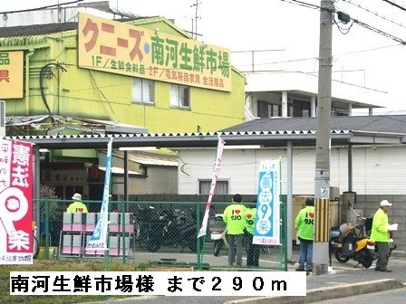 ニューハイツ茂手木の周辺|南河生鮮市場様まで290m