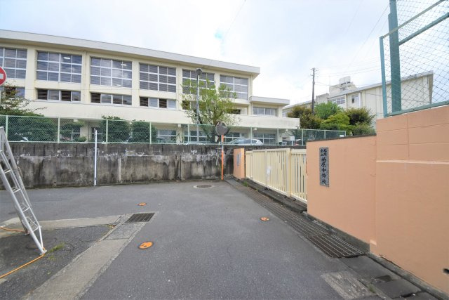 福岡市南区花畑1丁目第4-1棟（1号棟）の周辺|柏原中学校