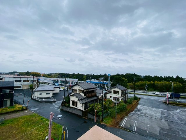 ライオンズガーデンシティ成田の展望