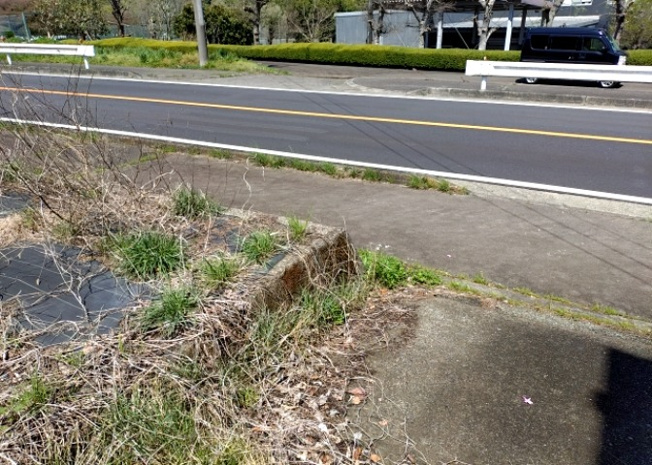 【外観】 | 土地を買う際、住む地域の自治体や福祉の補助制度にも注目してみましょう。子供や老人の医療補助やゴミ出しのルールなど、自治体によってルールに大きな違いがあるため、暮らしやすい土地で判断するとよいでしょう。