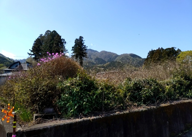 【外観】 | 土地の前の道路に消火栓が設置されていることがあります。この場合、道路交通法第45条第1項により、駐車禁止の場所が指定されています。そのため、車庫などの駐車スペースをつくることができない場合があります。