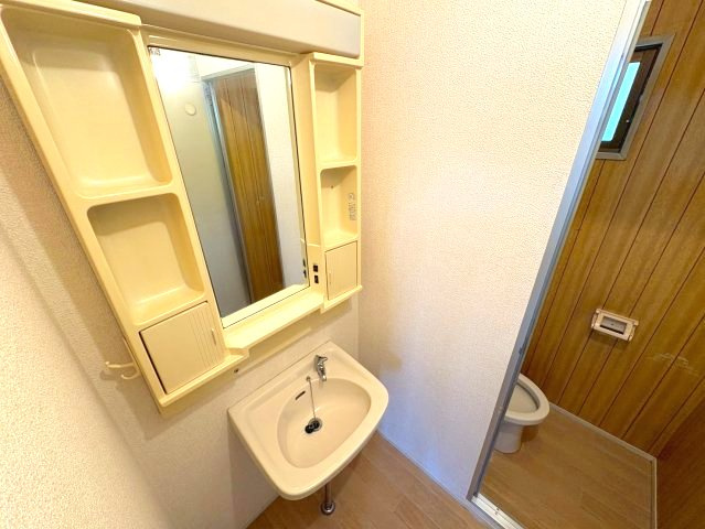 フォーリストハイムB棟の洗面所