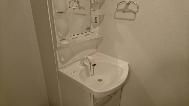 メゾン本駒込の洗面所