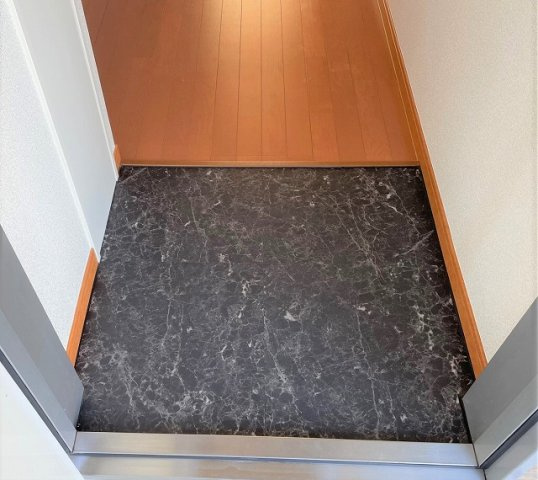 レオパレスアカシアの玄関