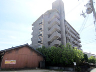 新栄プロパティー泉佐野の画像