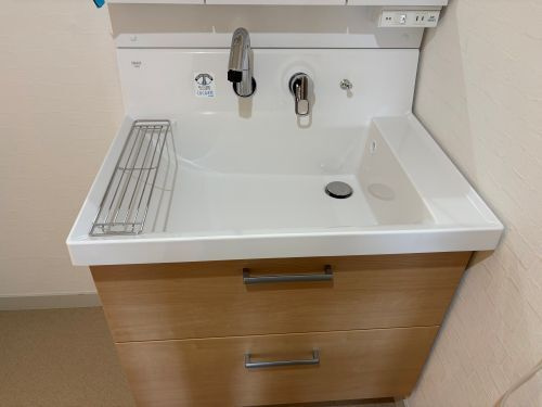 ライオンズマンション上通の洗面所