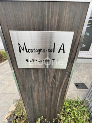 【その他】 | Montagne・sel A
