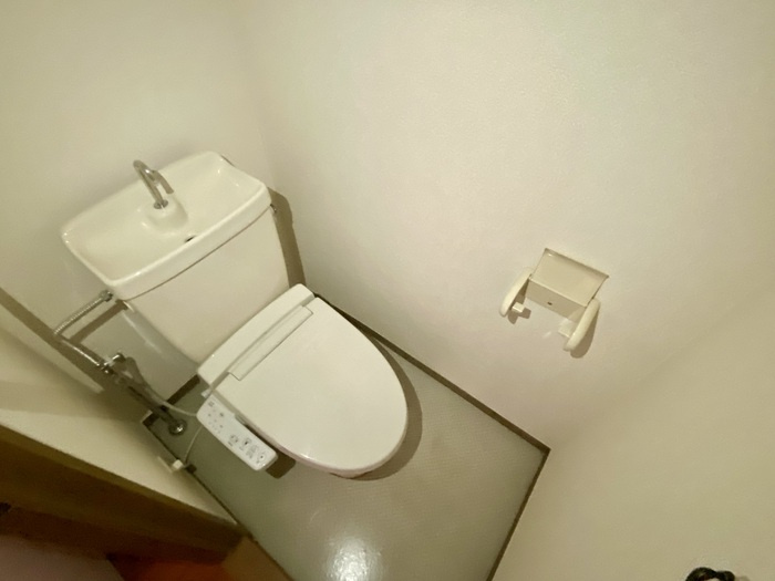 ロイヤルガーデン　壱番館のトイレ