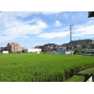 リブシャイン青葉丘南の展望