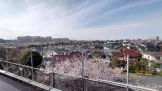 【展望】