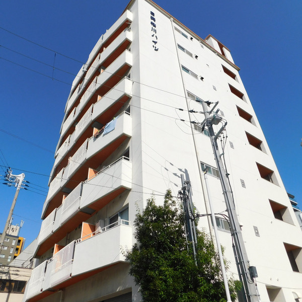 日興桜川ハイツの外観