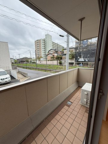 ステラの展望