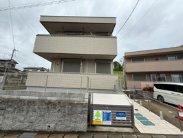 ステラの画像