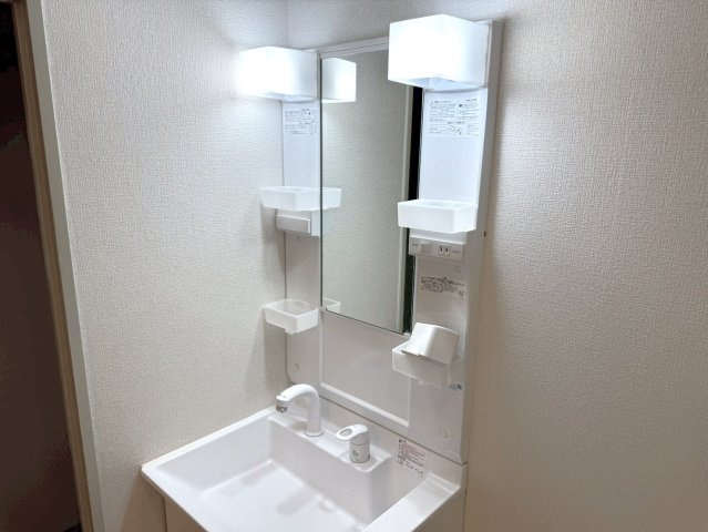 ルビコンすみよし台の洗面所