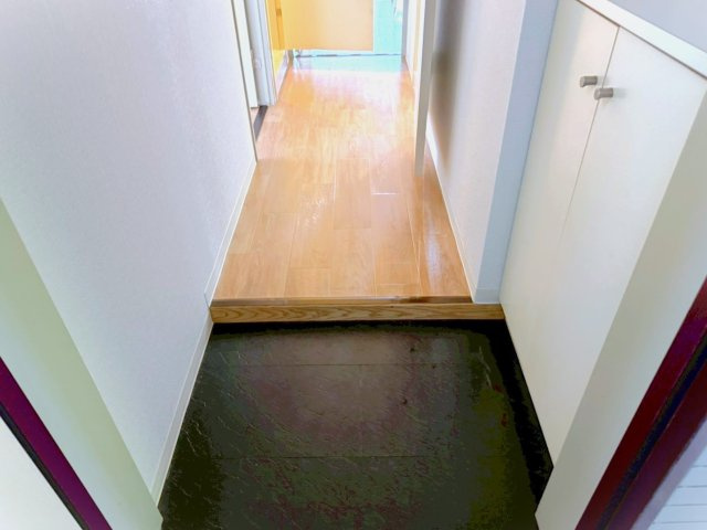 ルビコンすみよし台の玄関