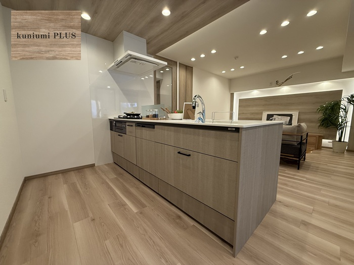 サンハイム中津のキッチン