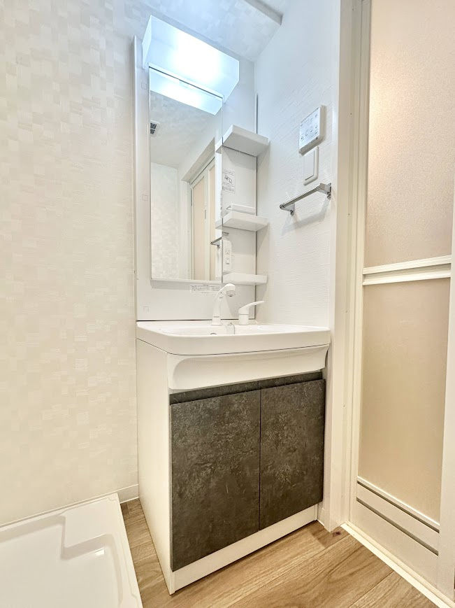S-RESIDENCE堀田beauteの洗面所