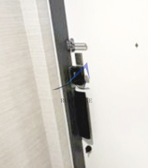 パラシオテルマス池上のセキュリティ|内鍵です。
