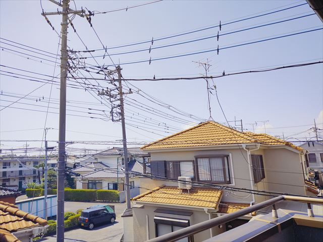 【展望】の画像